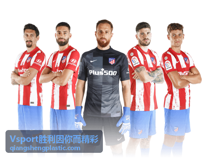 Vsport胜利因你而精彩 硅PU篮球场材料配套